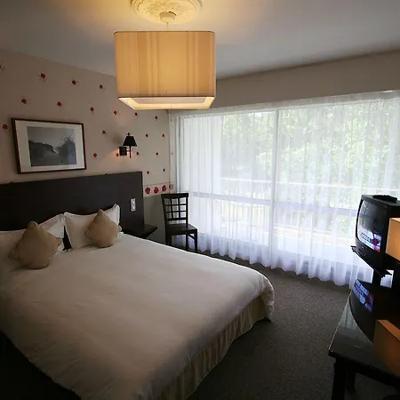 ホテル Du Parc 3*